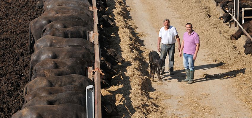 L’agricola Di Santo, un territorio da scoprire…